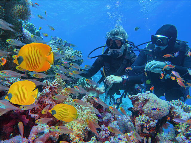 THY ile İstanbul'dan Sharm El Sheikh Turu 3 Gece