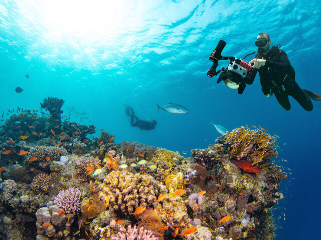 THY ile İstanbul'dan Sharm El Sheikh Turu 3 Gece