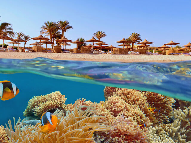 THY ile İstanbul'dan Sharm El Sheikh Turu 3 Gece